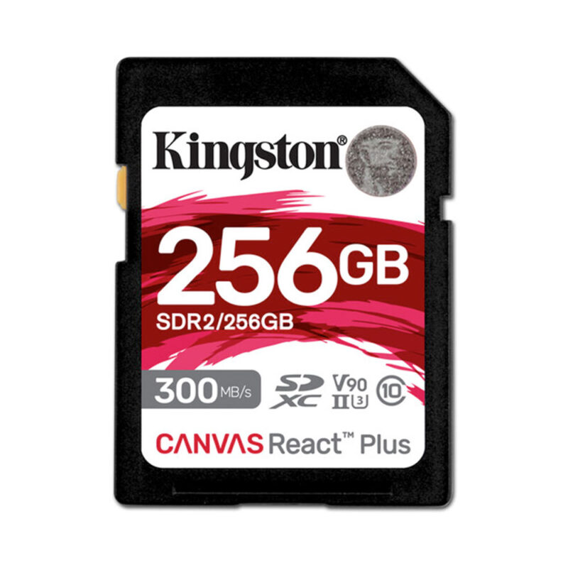 KINGSTON SDXC 256GB v90 FRENEL rental