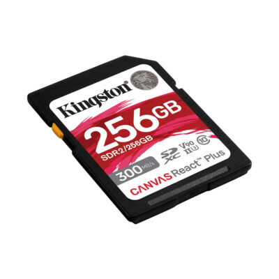 KINGSTON SDXC 256GB v90 FRENEL rental